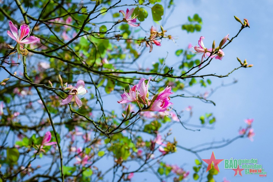 Sắc trời Tây Bắc giữa lòng Thủ đô